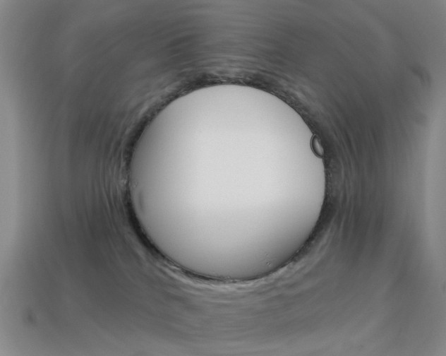 X0000114100040200910051240