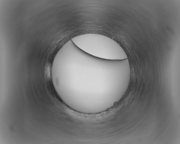 X0000114100042200910051240