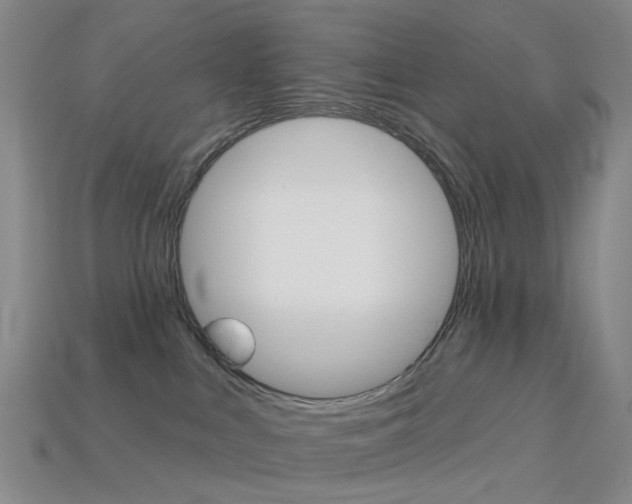 X0000114100043200910051240