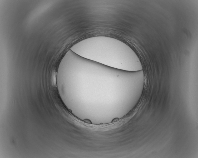 X0000114100046200910051240