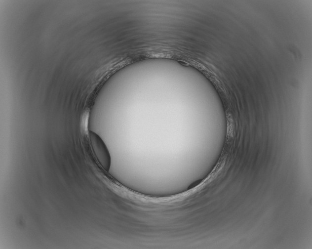 X0000114100047200910051240