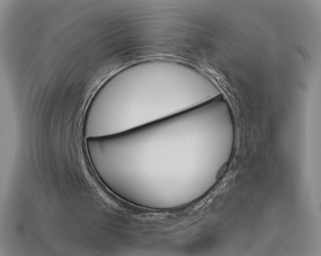 X0000114100049200910051239