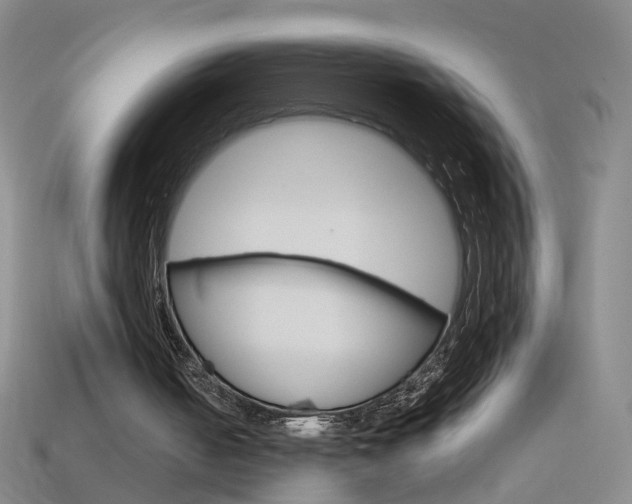 X0000114100050200910051239