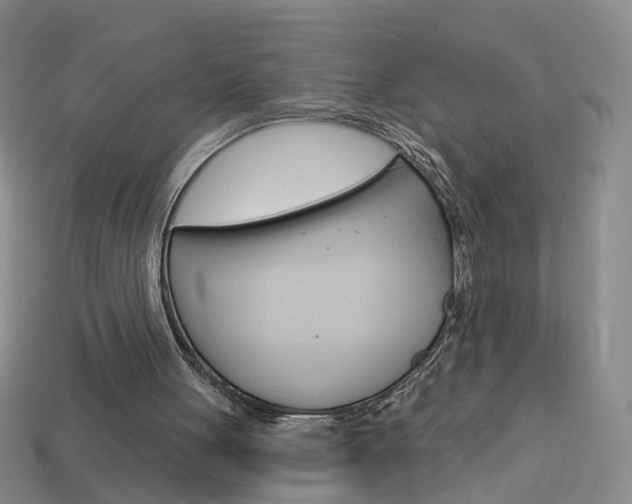 X0000114100051200910051239