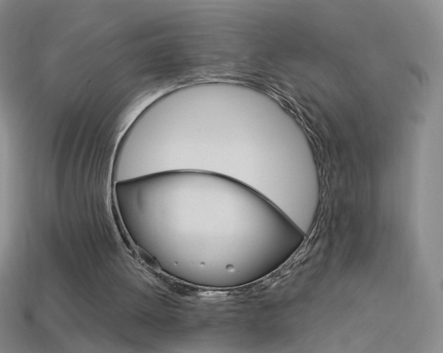 X0000114100052200910051239