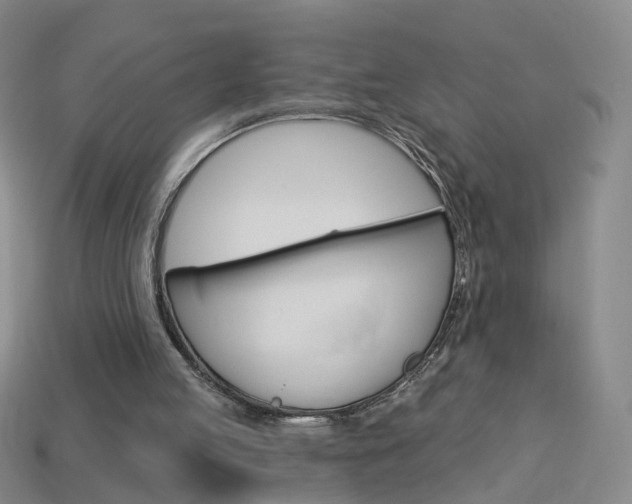 X0000114100053200910051239