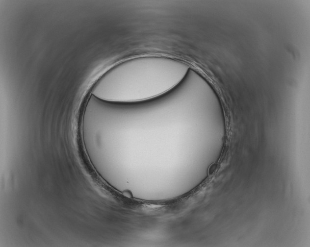 X0000114100055200910051239