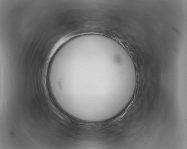 X0000114100056200910051239