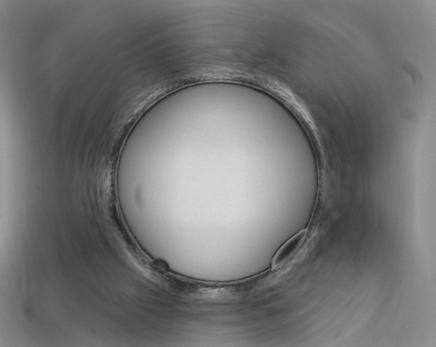 X0000114100057200910051239