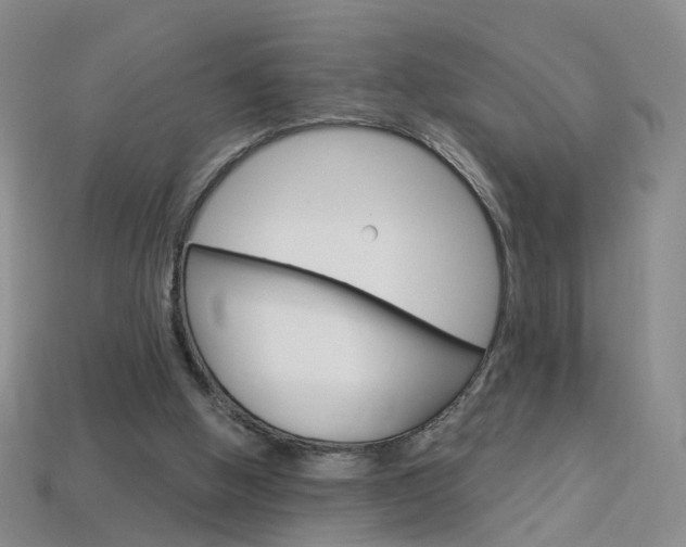 X0000114100058200910051239