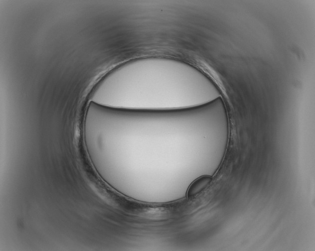 X0000114100059200910051239