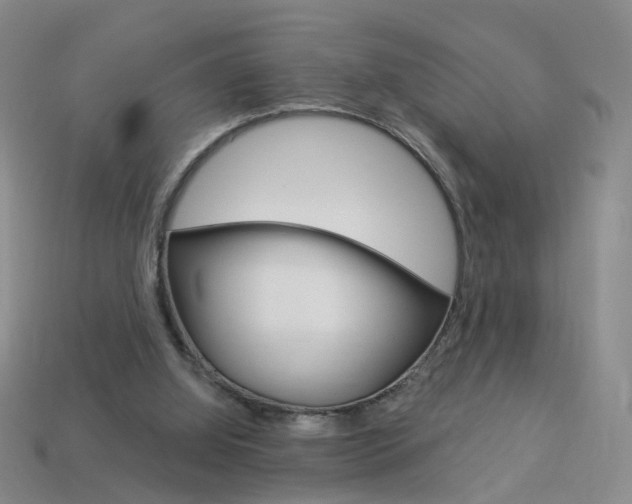 X0000114100060200910051239