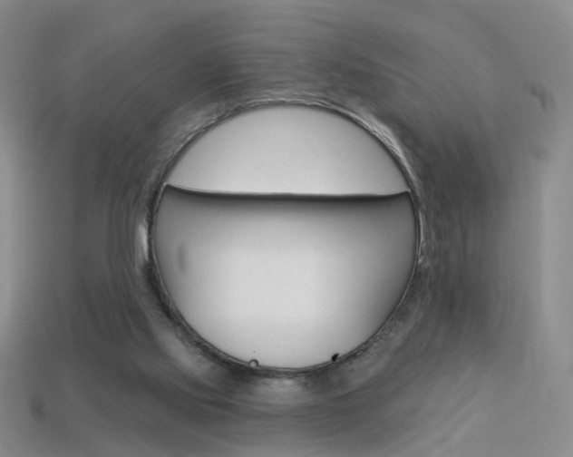 X0000114100061200910051239