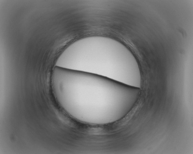 X0000114100066200910051239