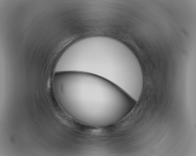 X0000114100068200910051239