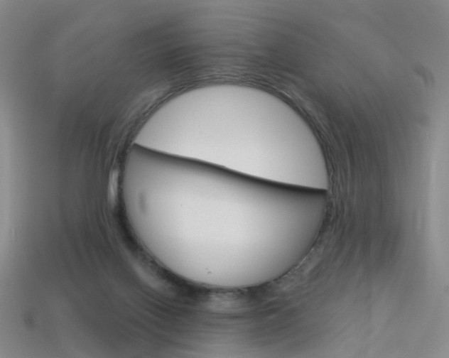 X0000114100070200910051239