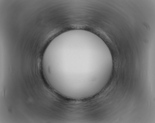 X0000114100071200910051239