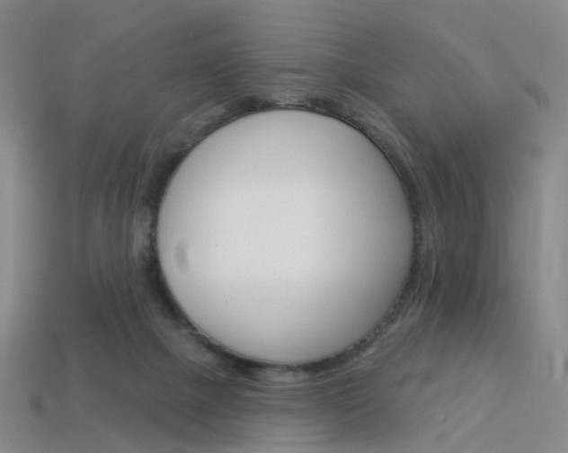 X0000114100073200910051239