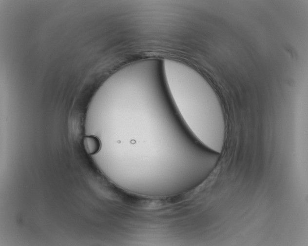 X0000114100074200910051239