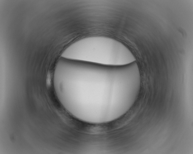 X0000114100075200910051239