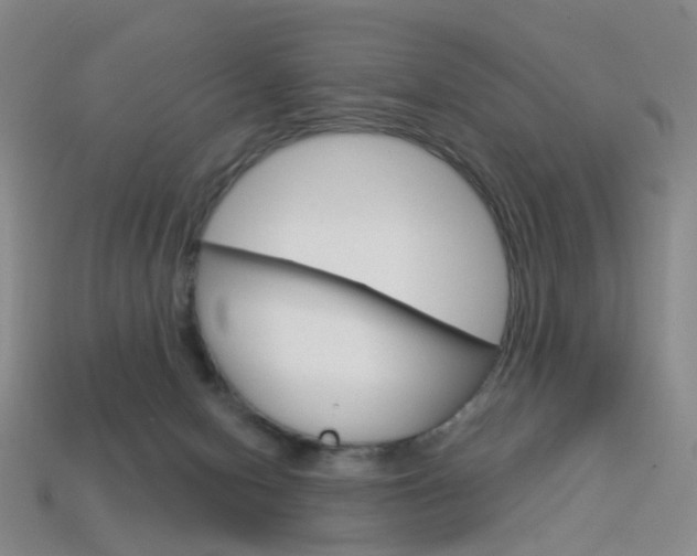 X0000114100078200910051239