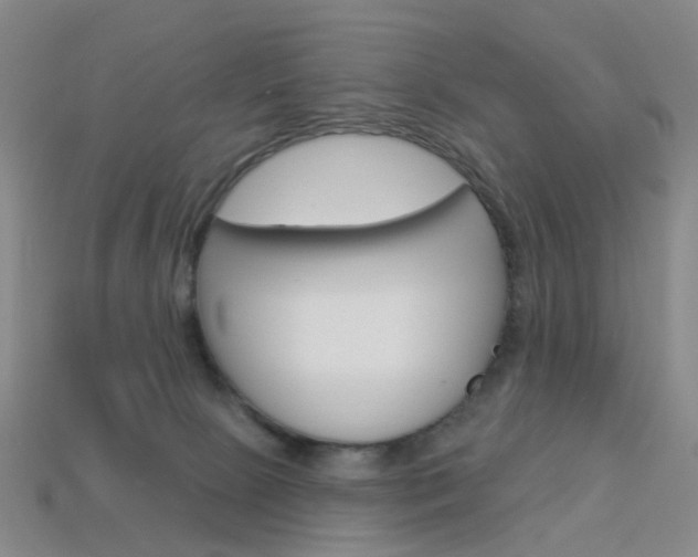 X0000114100081200910051239