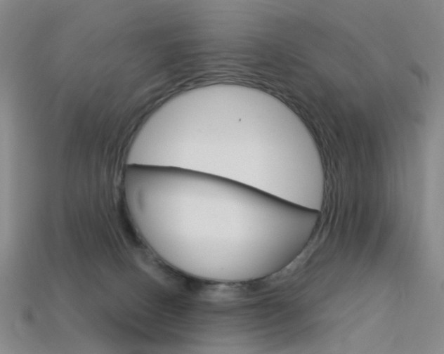 X0000114100082200910051239