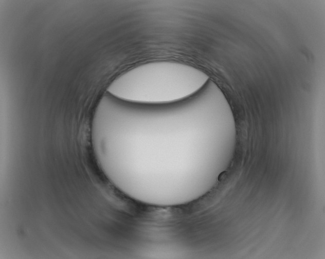 X0000114100083200910051239