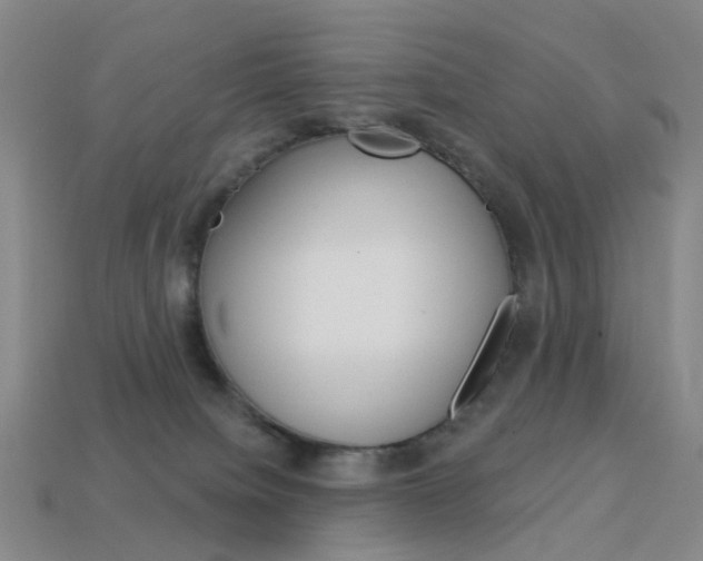 X0000114100084200910051239