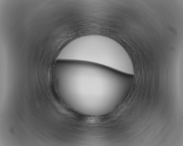 X0000114100088200910051239