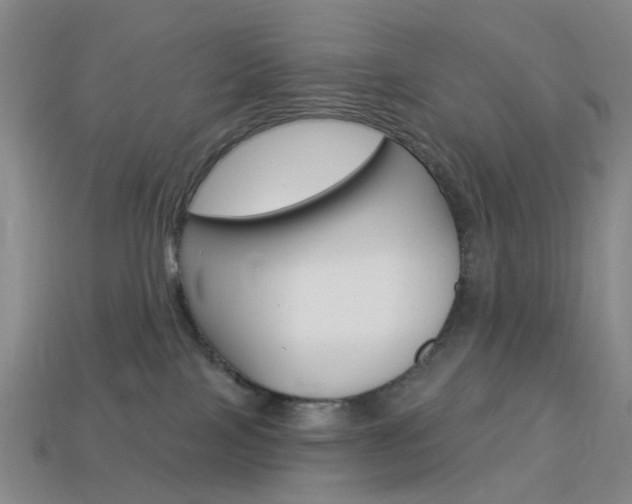 X0000114100089200910051239