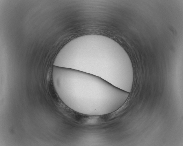 X0000114100090200910051240