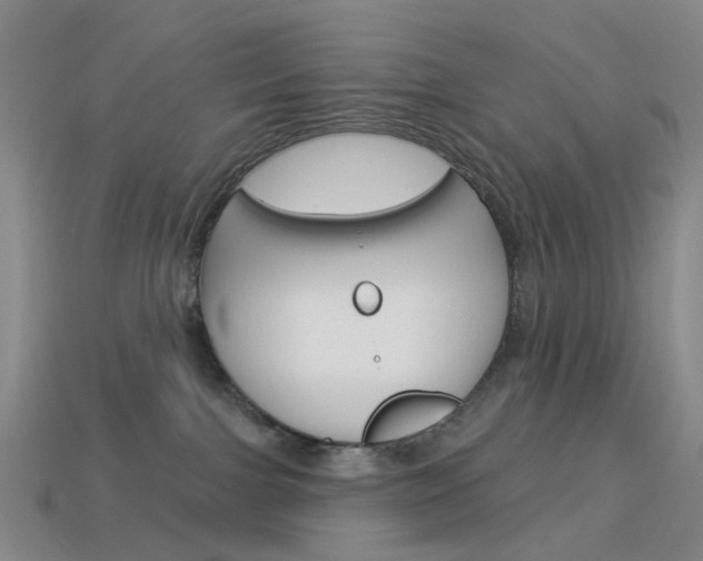 X0000114100091200910051240