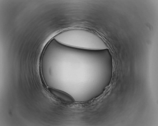 X0000114100100200910051239