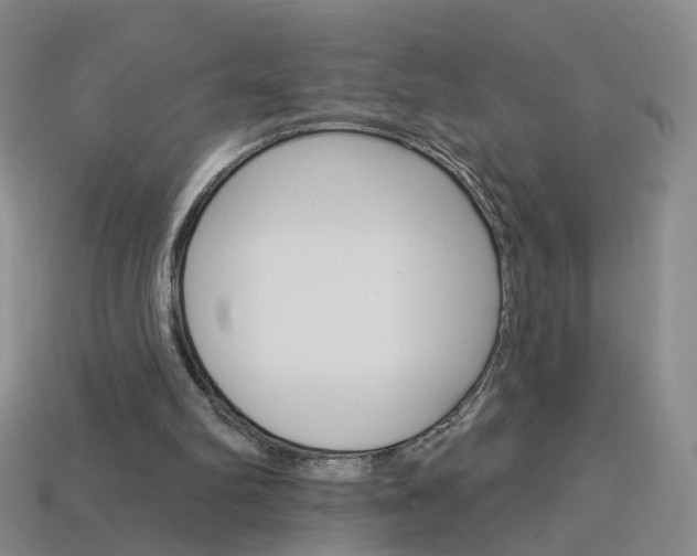 X0000114100102200910051239