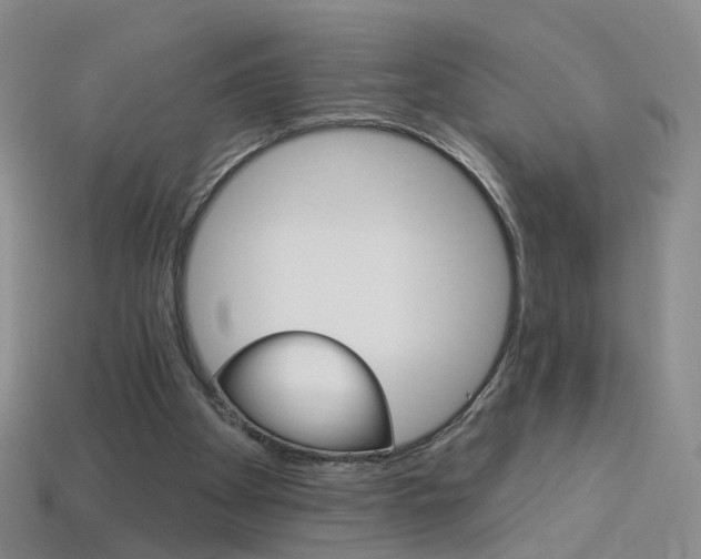 X0000114100105200910051239