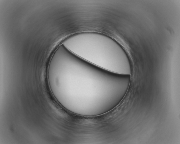 X0000114100107200910051239