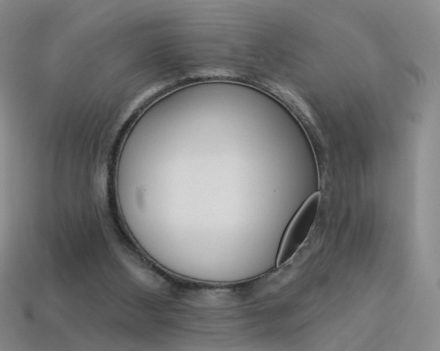 X0000114100108200910051239