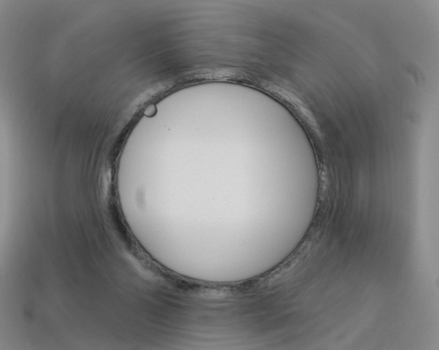 X0000114100110200910051239