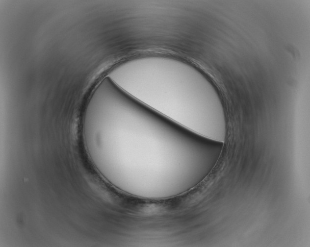 X0000114100111200910051239