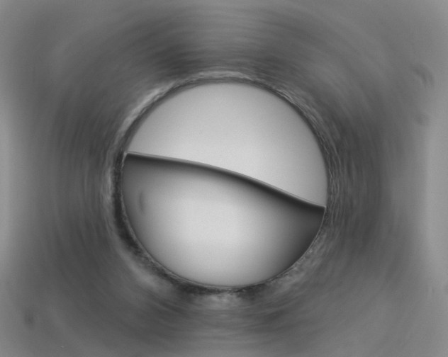 X0000114100112200910051239