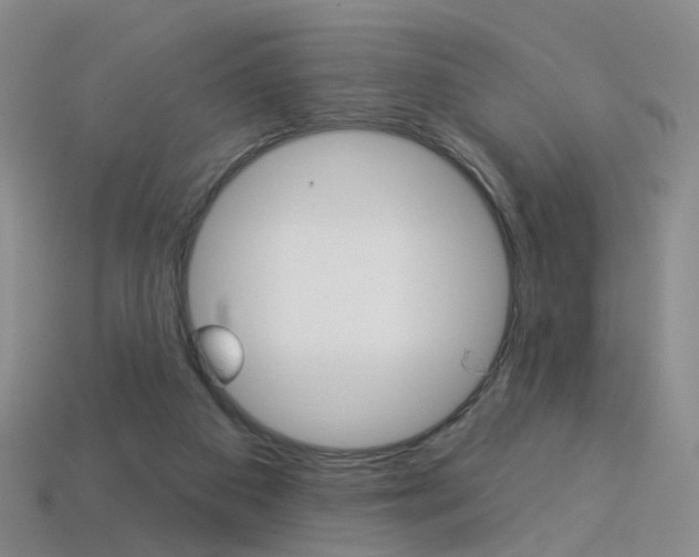 X0000114100113200910051239