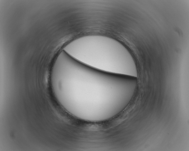 X0000114100115200910051239