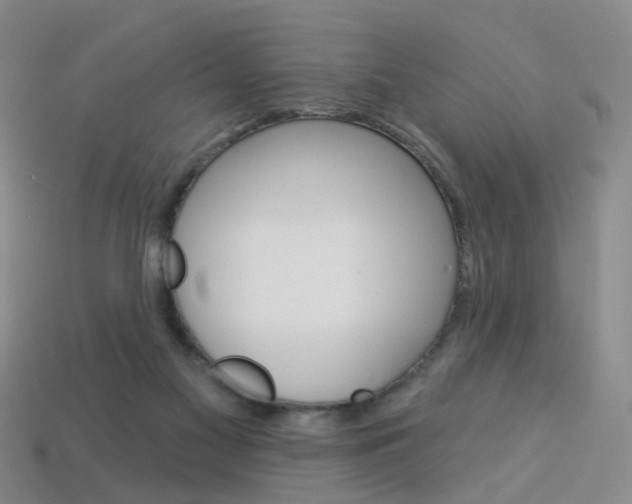 X0000114100117200910051239