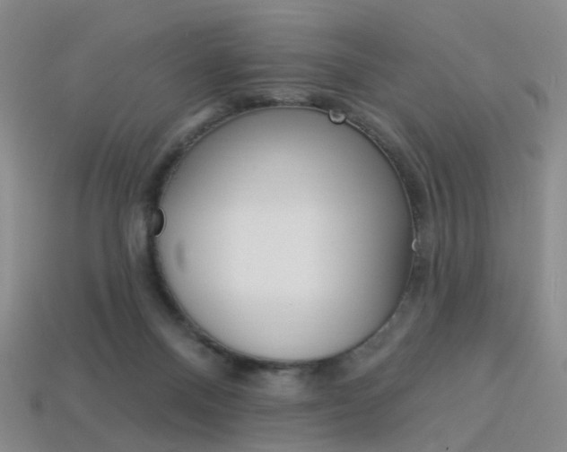 X0000114100120200910051239