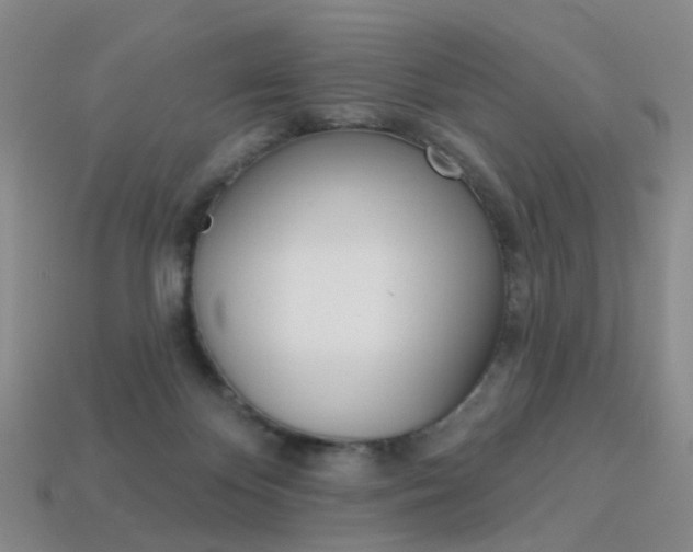 X0000114100124200910051239