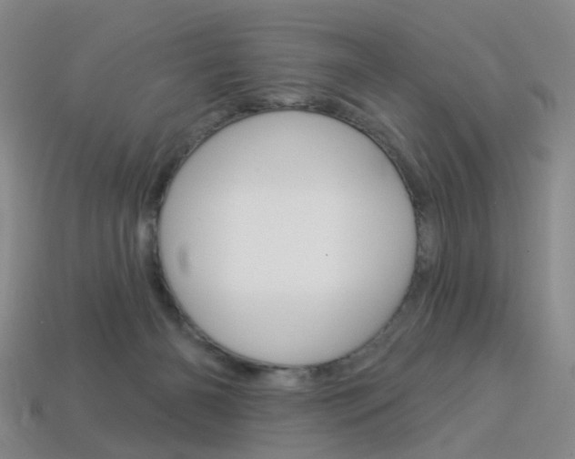 X0000114100126200910051239