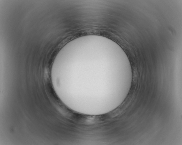 X0000114100130200910051239