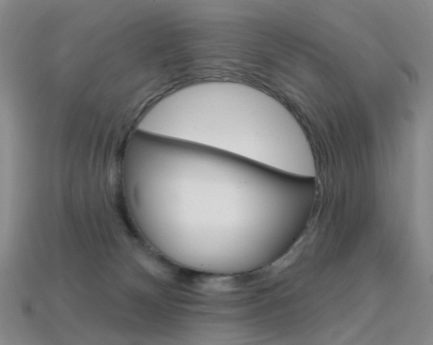 X0000114100132200910051239