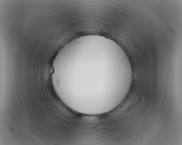 X0000114100133200910051239